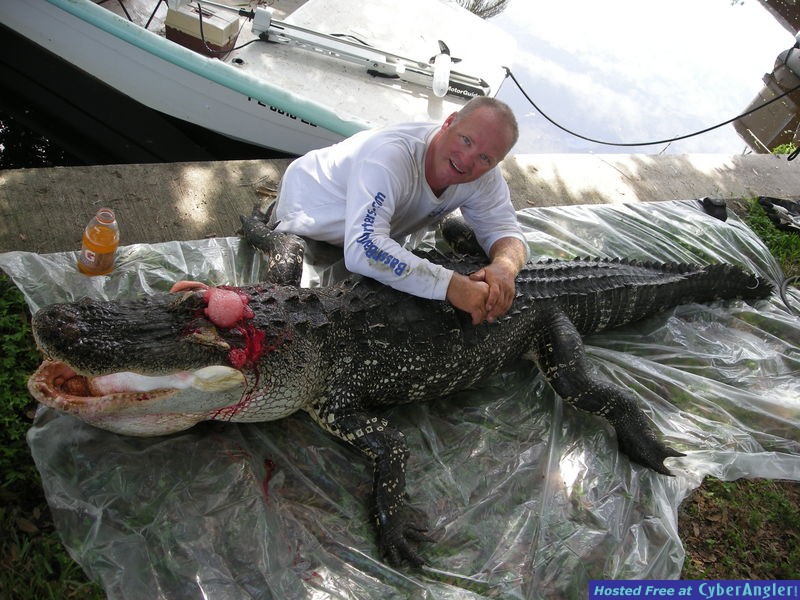 Florida Gator Hunting