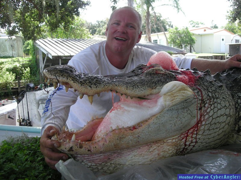 Florida Gator Hunting