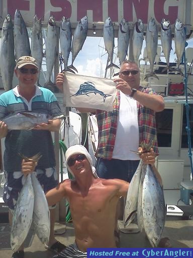 Sailfish Tuna 2