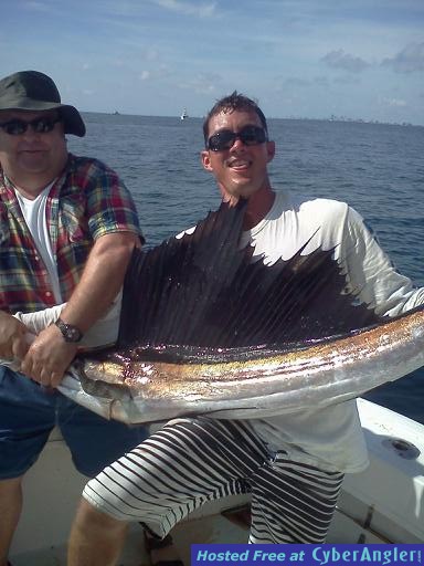 Sailfish Tuna 2