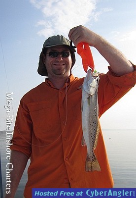 Speckled Trout