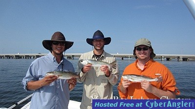 Lots of trout