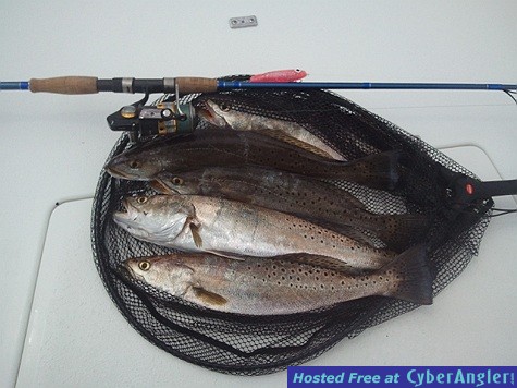 Mess of Trout