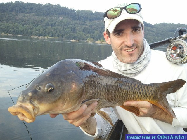 Susquehanna River Carp on Fly