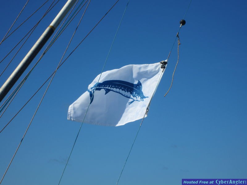 Marlin_flag