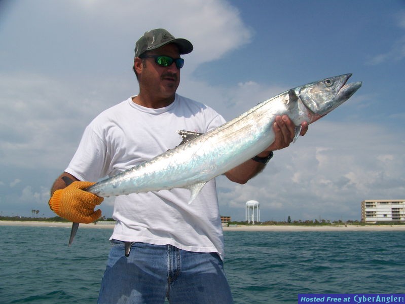 Jim's Cape Canaveral Kingfish