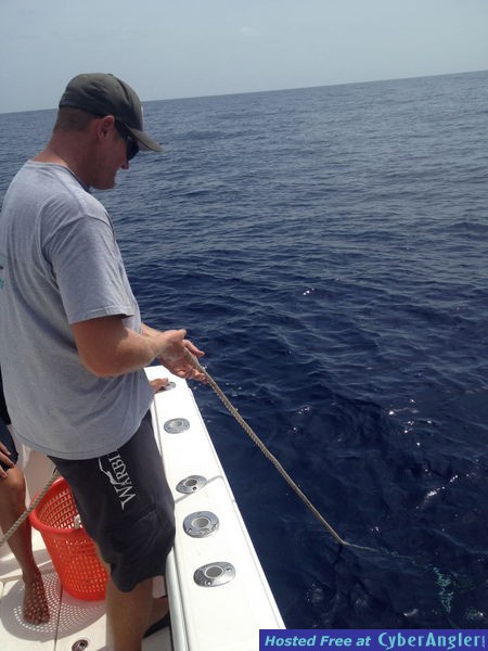 harpoon rope 1200 feet of line out