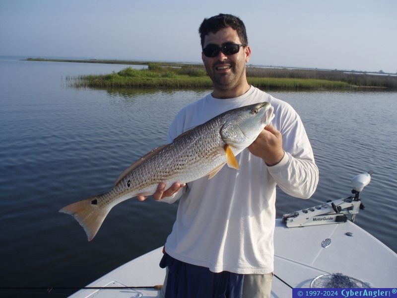 Fathers Day Redfish with Back Bay Adventures