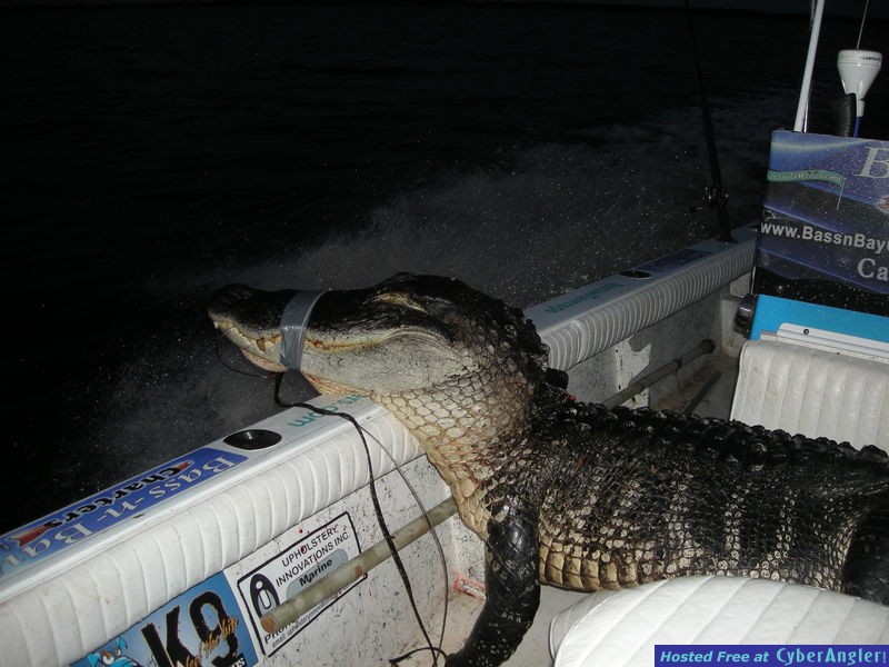 Bass N Bay Charters
