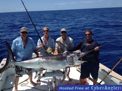 Click to Enlarge Photo