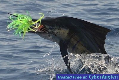 Click to Enlarge Photo