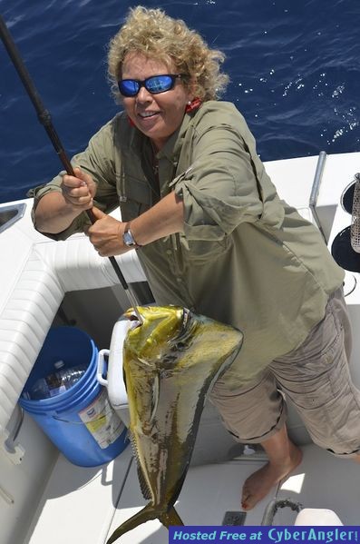 Click to Enlarge Photo