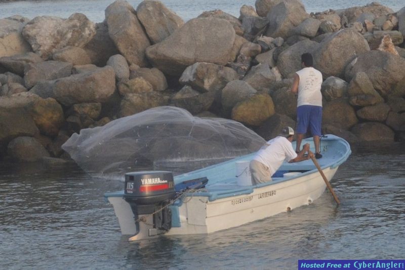 Click to Enlarge Photo