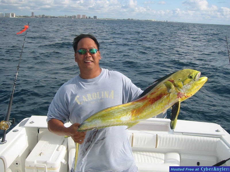 Mahi