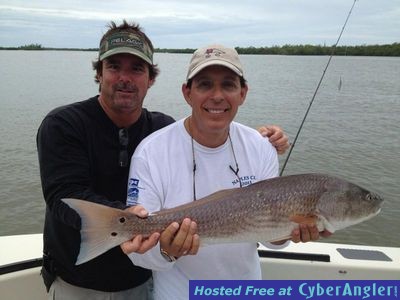 Naples Redfish