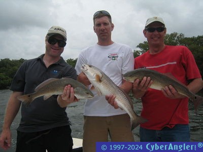 Click to Enlarge Photo