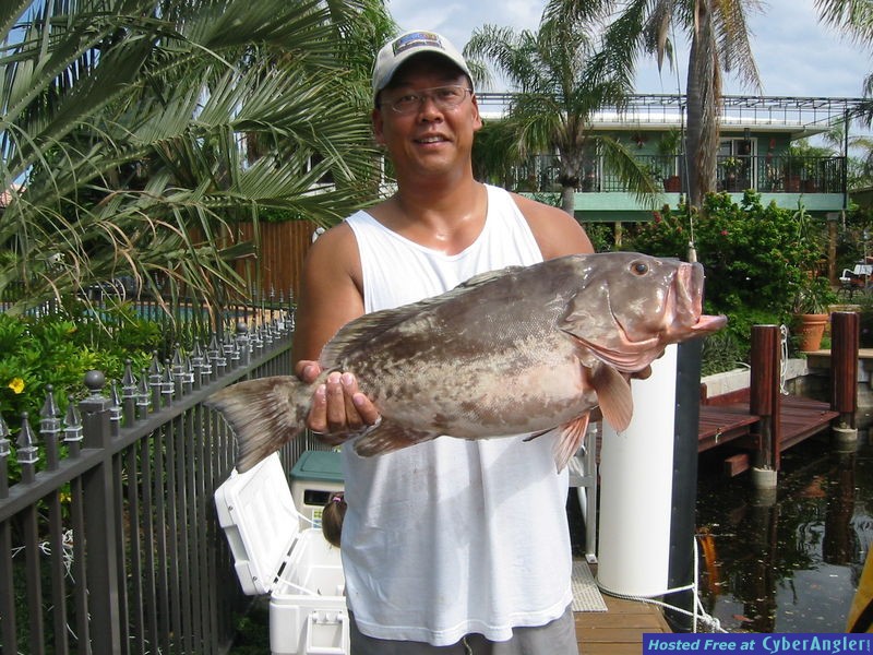 Grouper