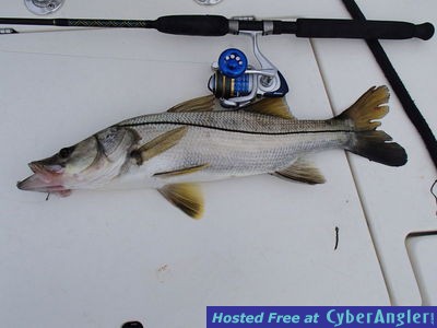 Click to Enlarge Photo