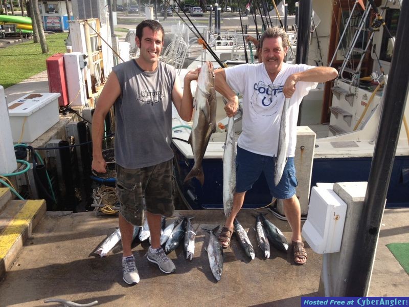 Cobia , Kingfish, Blackfin Tuna