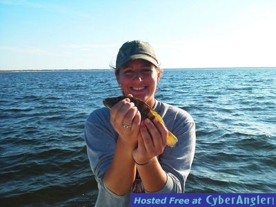 Click to Enlarge Photo