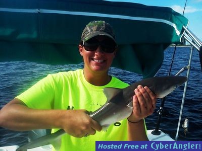 First shark