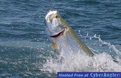 Click to Enlarge Photo