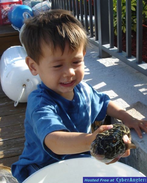 puffer king