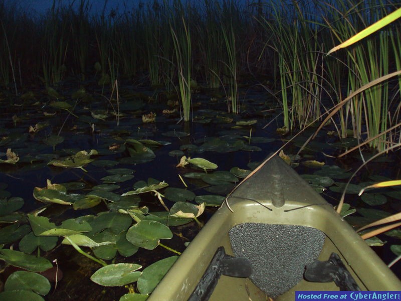 glades_002