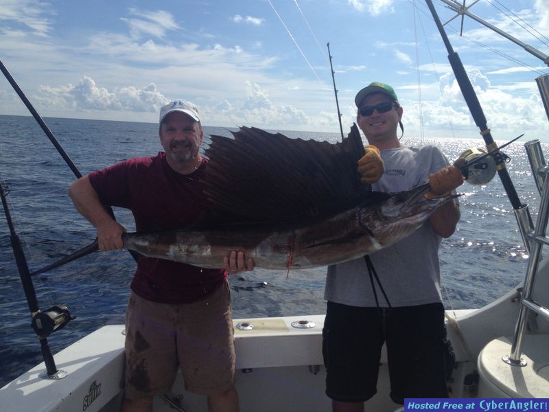 huge sailfish