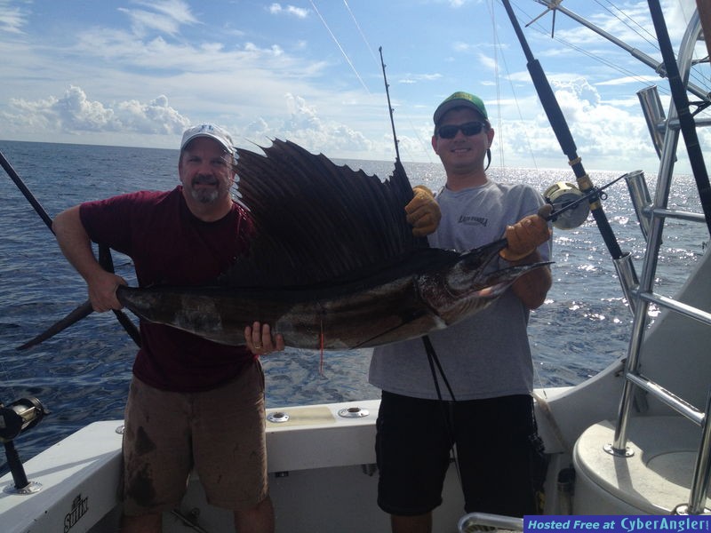 sailfishing