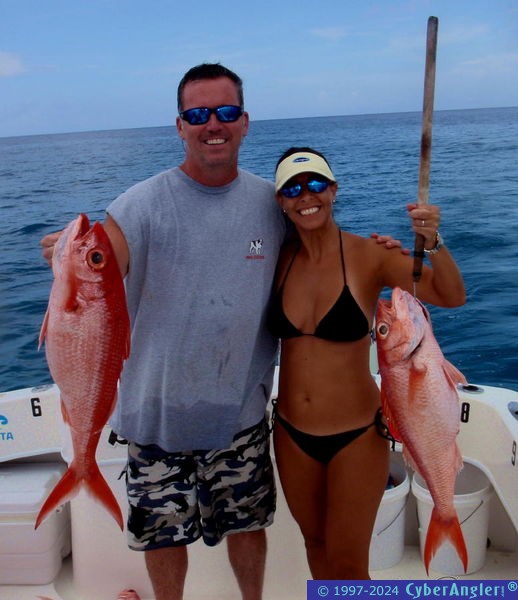 Queen snapper