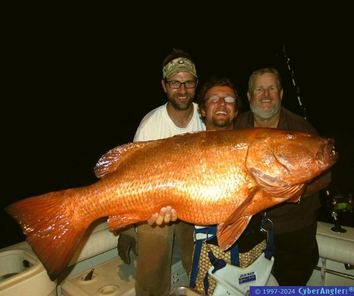 Cubera Snapper are Brilliant