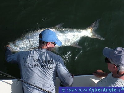 Click to Enlarge Photo