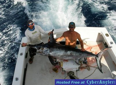 250# swordfish