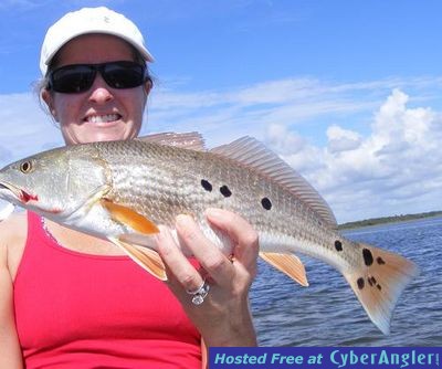 Click to Enlarge Photo