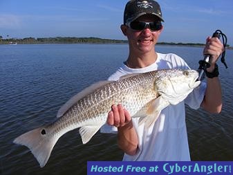 Click to Enlarge Photo