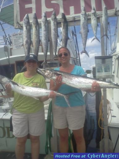 king fish celia 2