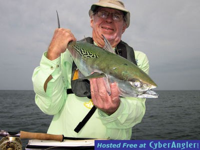 Click to Enlarge Photo