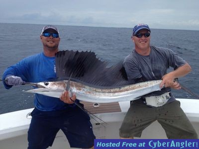 Islamorada Sailfish