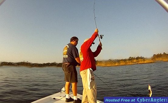 Bring in a trout