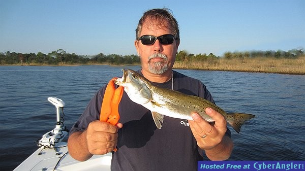 17&quot; Trout
