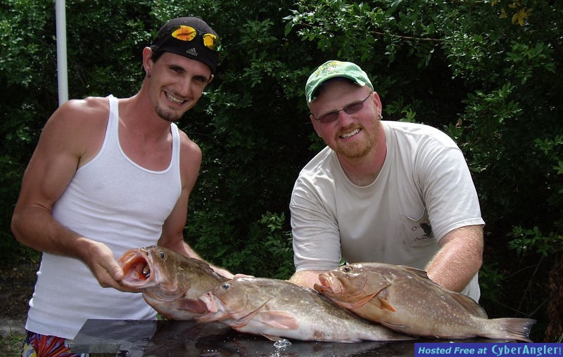 Red Groupers