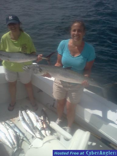 king fish celia 2