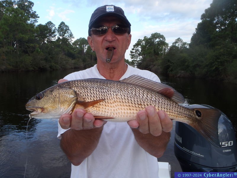 Click to Enlarge Photo