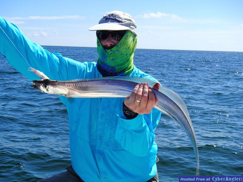 Brent_n_Ribbon_Fish