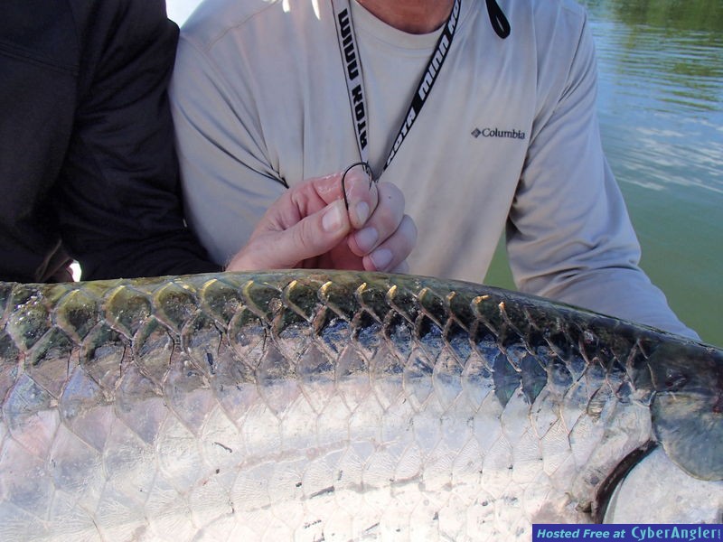 Tarpon_n_Mustad_Ultra_Point_Hook