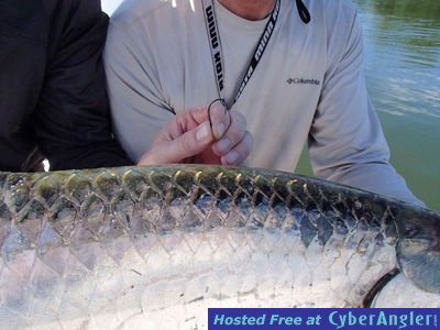 Click to Enlarge Photo