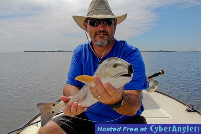 Tampa redfish