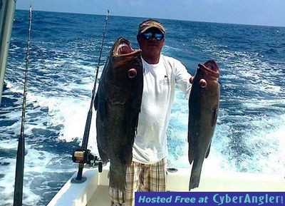 Costa Rica Grouper  Fishing action!