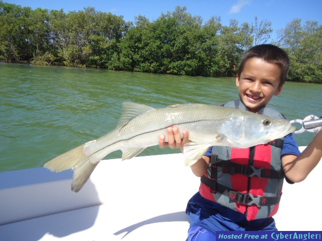 Click to Enlarge Photo